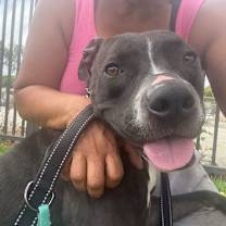 Thumbnail photo of Nala #2