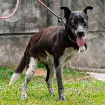 Thumbnail photo of Tonie #3