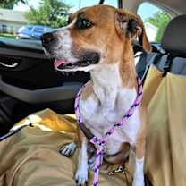 Thumbnail photo of Rita #2