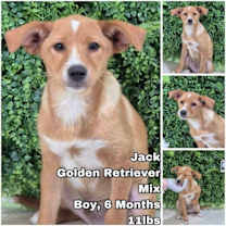 Thumbnail photo of Jack from Korea #1