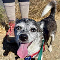 Thumbnail photo of Calvin #3