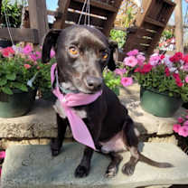 Thumbnail photo of Jub Jub #2