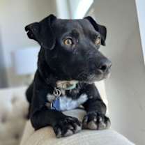 Thumbnail photo of Jub Jub #3