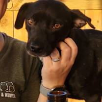 Thumbnail photo of Jub Jub #4