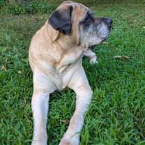 Thumbnail photo of Izzabella #1