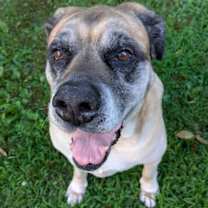 Thumbnail photo of Izzabella #2