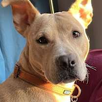 Thumbnail photo of Tywin #1