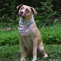 Thumbnail photo of Ted Lasso litter- Rebecca Welt #2