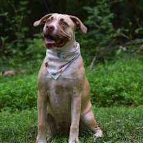 Thumbnail photo of Ted Lasso litter- Rebecca Welt #3