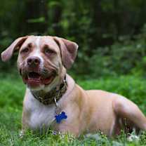 Thumbnail photo of Ted Lasso litter- Rebecca Welt #1