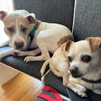 Thumbnail photo of Nova #2