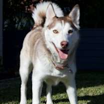 Thumbnail photo of Raya #3