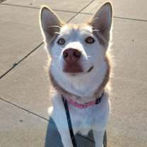 Thumbnail photo of Raya #4