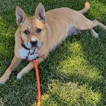 Thumbnail photo of Emma 💕 #2