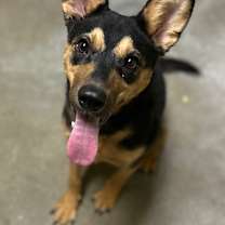 Thumbnail photo of Annie #1