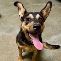 Thumbnail photo of Annie #4