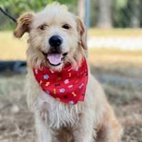 Thumbnail photo of Tug #3