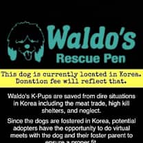 Thumbnail photo of Finding Nemo #3