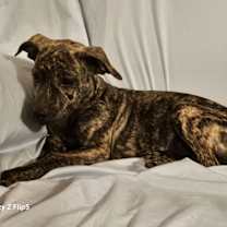 Thumbnail photo of Green #2