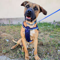 Thumbnail photo of René #1