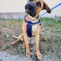 Thumbnail photo of René #3