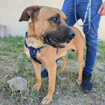 Thumbnail photo of René #4