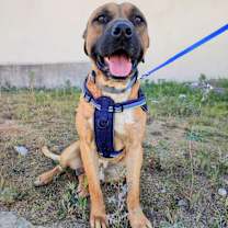 Thumbnail photo of René #1