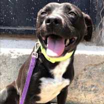 Thumbnail photo of Cristal #1