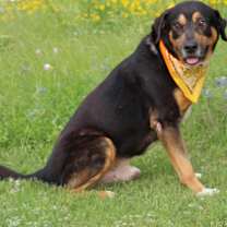 Thumbnail photo of Jake #2