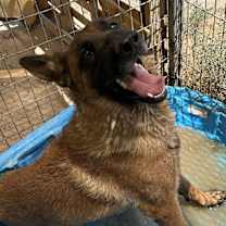 Thumbnail photo of Murphy #2