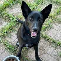 Thumbnail photo of Stormy #1