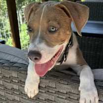 Thumbnail photo of McCoy #1