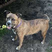 Thumbnail photo of Reba #2