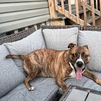 Thumbnail photo of Reba #3