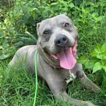 Thumbnail photo of Sylvia #1