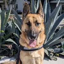 Thumbnail photo of Hennessey #1