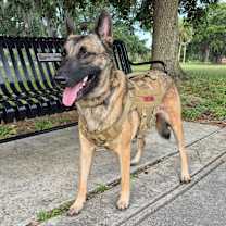 Thumbnail photo of Malee - Located in Florida #1