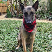 Thumbnail photo of Malee - Located in Florida #2