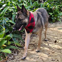 Thumbnail photo of Malee - Located in Florida #3