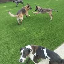 Thumbnail photo of Malee - Located in Florida #4