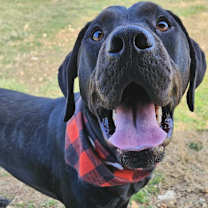 Thumbnail photo of Sanford #1
