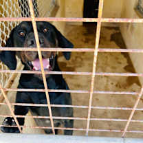 Thumbnail photo of Sanford #2