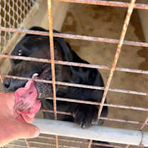 Thumbnail photo of Sanford #3