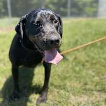 Thumbnail photo of Sanford #4