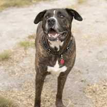 Thumbnail photo of Larson #2