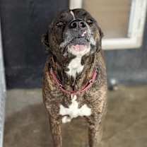 Thumbnail photo of Larson #3