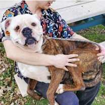 Thumbnail photo of Citrus #4