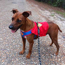 Thumbnail photo of Otis #1