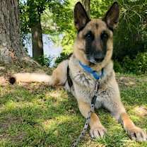 Thumbnail photo of Bane 6755 #3