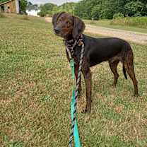 Thumbnail photo of Noah #3